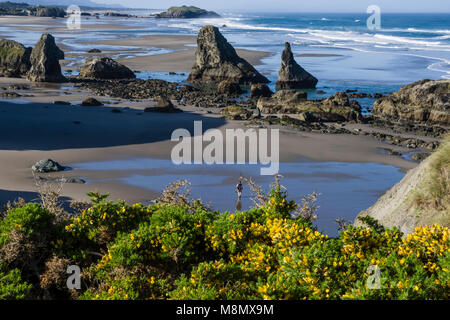 Affioramenti di roccia da eruzioni vulcaniche sulla spiaggia in corrispondenza della faccia Rock membro punto panoramico. Bandon Oregon Foto Stock