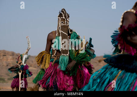 Un uomo Dogon indossando un lungo, maschera tradizionale a un cerimoniale, danze tribali. Paese Dogon del Mali, Africa occidentale. Foto Stock