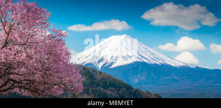 Monte Fuji e di rosa fiori di ciliegio Sakura tree sul cielo blu white clound in Kawaguchiko, Giappone ,la fioritura dei ciliegi Sakura. Montare Fujisan bella Foto Stock