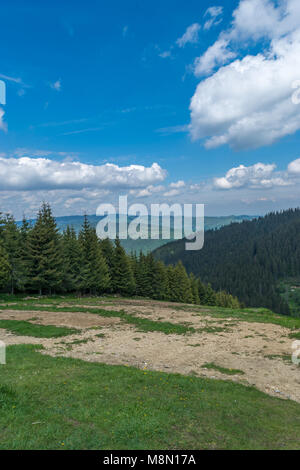 Il rumeno di foreste di montagna in Transilvania, vicino a Sibiu. Foto Stock