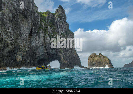 Foro nella roccia, Piercy Island, la Baia delle Isole, Isola del nord, Nuova Zelanda Foto Stock