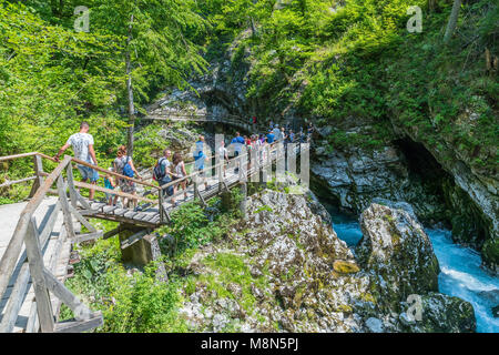 I turisti a piedi all'interno della gola gola su un percorso di legno, Podhom, Alta Carniola, Slovenia, Europa Foto Stock