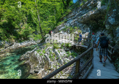 I turisti a piedi all'interno della gola gola su un percorso di legno, Podhom, Alta Carniola, Slovenia, Europa Foto Stock