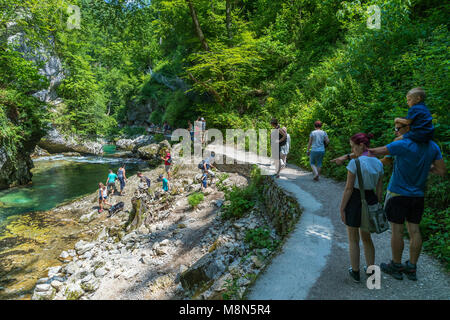 I turisti a piedi all'interno della gola gola su un percorso di legno, Podhom, Alta Carniola, Slovenia, Europa Foto Stock