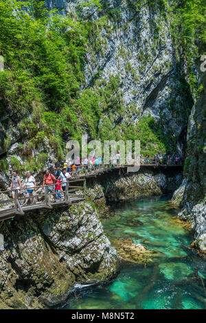 I turisti a piedi all'interno della gola gola su un percorso di legno, Podhom, Alta Carniola, Slovenia, Europa Foto Stock