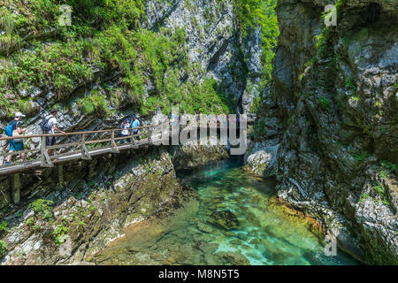 I turisti a piedi all'interno della gola gola su un percorso di legno, Podhom, Alta Carniola, Slovenia, Europa Foto Stock