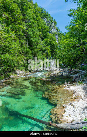 I turisti a piedi all'interno della gola gola su un percorso di legno, Podhom, Alta Carniola, Slovenia, Europa Foto Stock