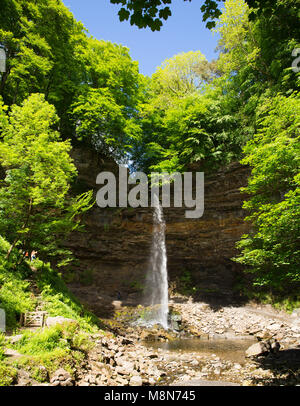 Forza Hardraw cascata vicino Hawes Wensleydale nel Yorkshire Dales popolare attrazione turistica Foto Stock