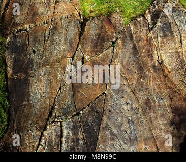 Coppa di epoca preistorica e tacca di pietra scolpita arte rock affioramento a Achnabreck, Kilmartin Valley, Argyll, Scozia occidentale, REGNO UNITO Foto Stock