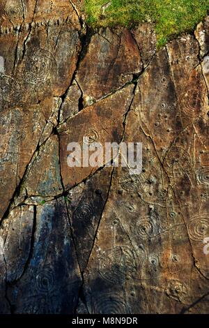 Coppa di epoca preistorica e tacca di pietra scolpita arte rock affioramento a Achnabreck, Kilmartin Valley, Argyll, Scozia occidentale, REGNO UNITO Foto Stock