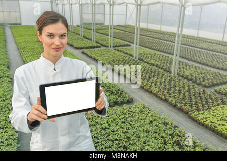 Femmina ingegnere della biotecnologia tablet serra. Piantine di piante in crescita molla di serra. Foto Stock