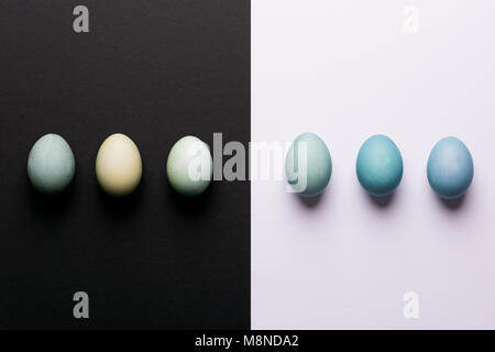 Felice Pasqua nero e sfondo bianco. Dipinto a mano blu uova di Pasqua astratto concetto minimale. Foto Stock