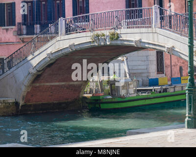 La raccolta di rifiuti in un canale veneziano Foto Stock