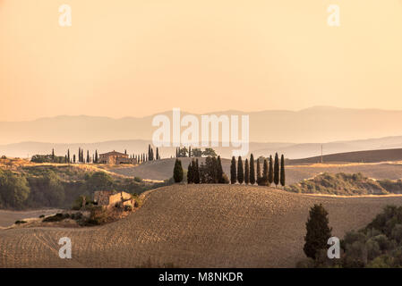 Paesaggio estivo presso sunrise in Toscana, Italia Foto Stock