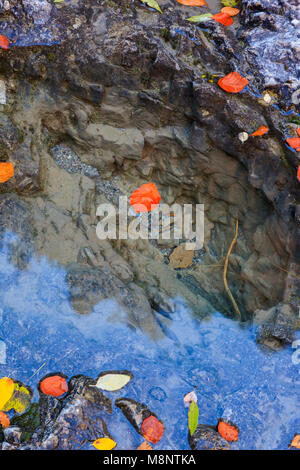 Piscina nel fiume Bellós, Cañón de Añisclo a Ordesa National Park, Huesca, Aragona, Spagna, Europa Foto Stock