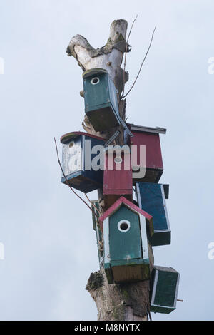 Tipica casa danese in Nordby, isola di Fanoe, nello Jutland, Danimarca Foto Stock