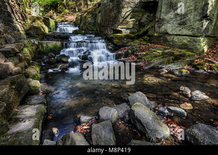Medio caduta, Lumsdale Falls, Matlock, Derbyshire Regno Unito Inghilterra Foto Stock