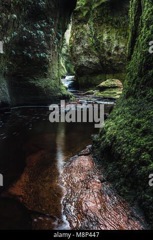 Glen Finnich gorge, noto anche come il diavolo il pulpito vicino a Killearn, Scotland, Regno Unito Foto Stock