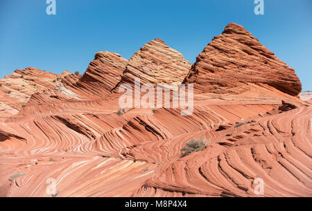 A forma di piramide di roccia arenaria a formazioni di Coyote Buttes North, parte del Paria Canyon-Vermilion Cliffs Wilderness area. Foto Stock