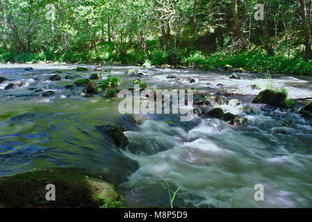 In esecuzione sul fiume sioule nel puy de dome auvergne estate Foto Stock