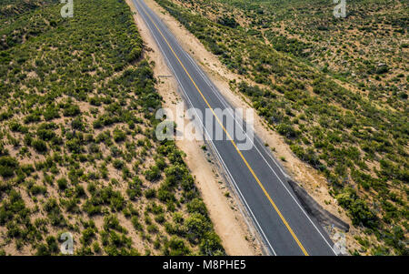 Linea retta di nero strada asfaltata conduce direttamente attraverso la molla verde deserto della California. Foto Stock