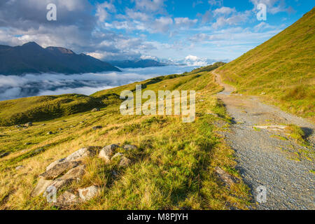 Splendida vista panoramica delle Alpi svizzere da dietro il ghiacciaio di Aletsch. Fireweed fiori, erbosi pascoli di sunrise, montagne innevate e raggi solari. Foto Stock