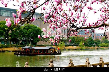 , Suzhou Suzhou, Cina. 20 Mar, 2018. Suzhou, Cina del XIX Marzo 2018: uno scenario primaverile di Suzhou, est cinese della provincia di Jiangsu. Credito: SIPA Asia/ZUMA filo/Alamy Live News Foto Stock