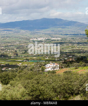 Campagna andalusa vicino a Alhaurin El Grande, Malaga, Andalusia, Spagna. Foto Stock