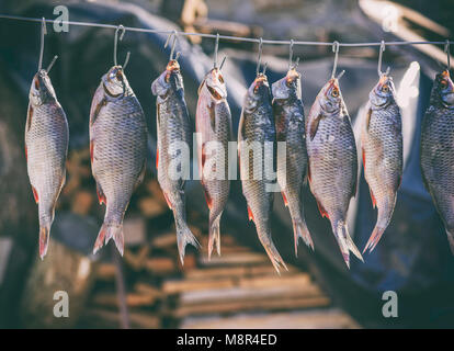 Salate pesci di fiume appeso a ganci metallici ed essiccato all'aria aperta, tonificazione vintage Foto Stock