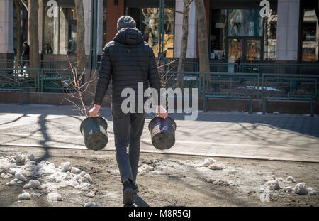 I visitatori di "uomo perduto Creek' dall'artista Spencer Finch al Metrotech Center di Brooklyn a New York il giorno di chiusura, domenica, 11 marzo 2018, portare a casa Alba in miniatura di alberi di sequoia. La foresta, che è cresciuto naturalmente da ottobre 2016, era composta di 4000 Alba Redwoods che ha ricreato una 790 acri di zona in 1:100 scala del Parco Nazionale di Redwood in California. A oggi la fine dell'installazione alberi sono stati donati a partecipanti con qualsiasi residuo di donati a varie organizzazioni . (Â© Richard B. Levine) Foto Stock