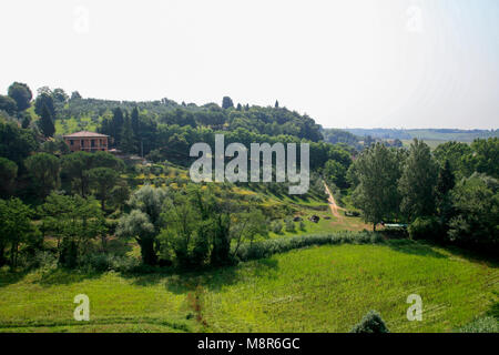 VINCI Italia 2010 Il paesaggio intorno a Leonardo da Vinci Vinci casa natale in Toscana Foto Stock