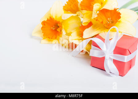 Bouquet di Yellow Daffodils e confezione regalo con nastro sullo sfondo bianco. Fiori il concetto di sfondo spazio copia Foto Stock