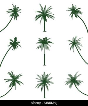Verde di alberi di palma Illustrazione Vettoriale