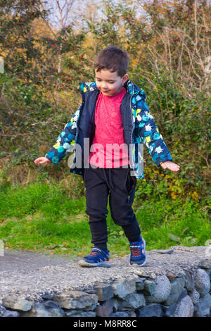 Un neonato boy camminare e bilanciamento sulla sommità di un muro di pietra a Castlewellan in Irlanda del Nord crescono Foto Stock