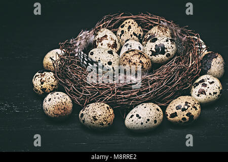 Uova di quaglia e piume in un nido. Pasqua in stile vintage. Foto Stock