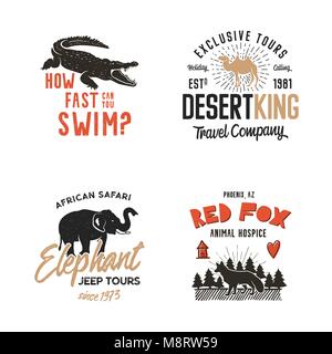 Animali selvatici del set di badge e di grande attività all'aperto insignias. Retrò illustrazione del badge animale. Tipografiche stile campeggio. Vettore di stock di animali selvatici del logo, la stampa tipografica effetto. Agenzia per il turismo di etichette Illustrazione Vettoriale