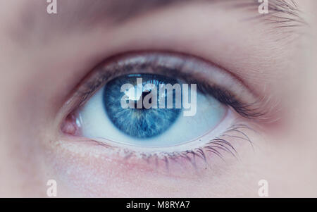 Close-up di persona gli occhi blu Foto Stock