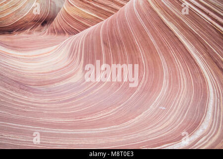 L'onda roccia arenaria formazione, situato in Coyote Buttes North, Paria Canyon Vermillion Cliffs Wilderness. Foto Stock