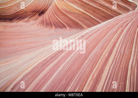 L'onda roccia arenaria formazione, situato in Coyote Buttes North, Paria Canyon Vermillion Cliffs Wilderness. Foto Stock