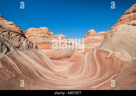 L'onda roccia arenaria formazione, situato in Coyote Buttes North, Paria Canyon Vermillion Cliffs Wilderness. Foto Stock