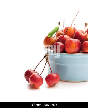 Fresche mele selvatiche in vaso in ceramica isolata su bianco Foto Stock