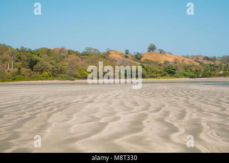 Spiaggia , paesaggio litorale con pianta tropicale di sfondo - Panama , Foto Stock