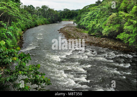 Il Fiume Sarapiquí fluisce attraverso la Tirimbina Riserva Biologica in Costa Rica. Foto Stock