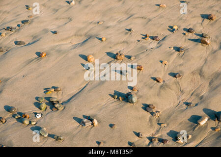 Le pietre colorate in sabbia sulla spiaggia - ciottoli sfondo Foto Stock