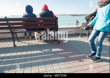 Incontro dei due cani domestici con i proprietari in città sulla riva del mare in primavera Foto Stock