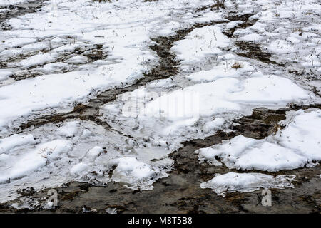 Spring Creek che scorre al campo con la fusione della neve. La molla la fusione del ghiaccio, primavera il disgelo. Foto Stock