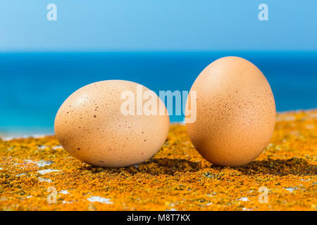 Due uova di gallina giacenti sui Licheni arancioni con il mare blu Foto Stock