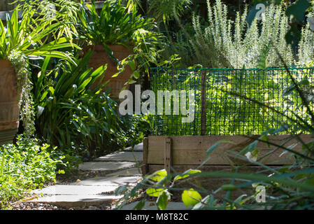 Un patch di vegetali con il rosmarino e le altre erbe crescere circondata da un bordo in legno duro e una pavimentazione di pietra percorso in un cortile di Sydney Foto Stock