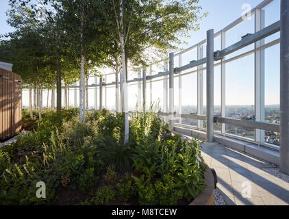 Giardino sul tetto trentacinquesimo piano. Vauxhall Sky Gardens, Londra, Regno Unito. Architetto: Carey Jones Chapman Tolcher architetti, 2017. Foto Stock