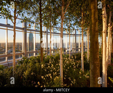 Giardino sul tetto trentacinquesimo piano. Vauxhall Sky Gardens, Londra, Regno Unito. Architetto: Carey Jones Chapman Tolcher architetti, 2017. Foto Stock